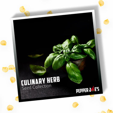 Culinary Herb Seed Collection